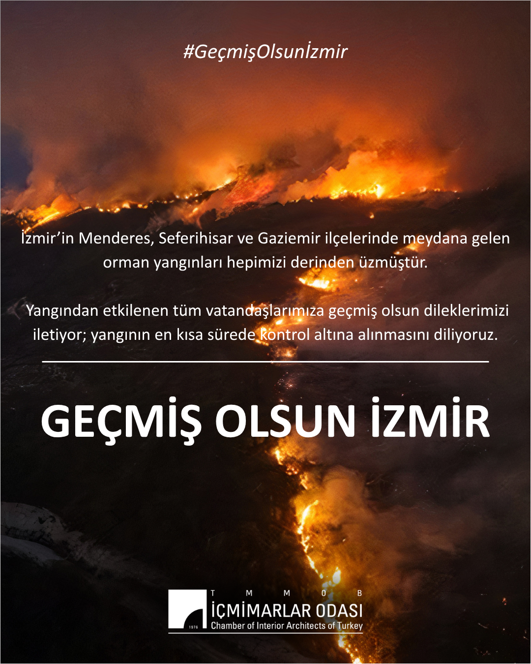 izmir orman yangını 2 .png